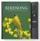 Birdsong