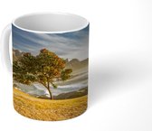 Mok - Boom - Berg - Stad - 350 ML - Beker