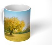 Mok - Boom - Gras - Groen - 350 ML - Beker