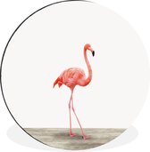 WallCircle - Wandcirkel - Muurcirkel - Flamingo - Roze - Vogel - Meisjes - Jongens - Kind - Aluminium - Dibond - ⌀ 90 cm - Binnen en Buiten