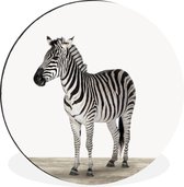 WallCircle - Wandcirkel - Muurcirkel - Zebra - Meisjes - Dieren - Kinderen - Jongens - Aluminium - Dibond - ⌀ 60 cm - Binnen en Buiten