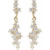 Elongated Chandelier dangle earrings WSBZ00937Y.WY