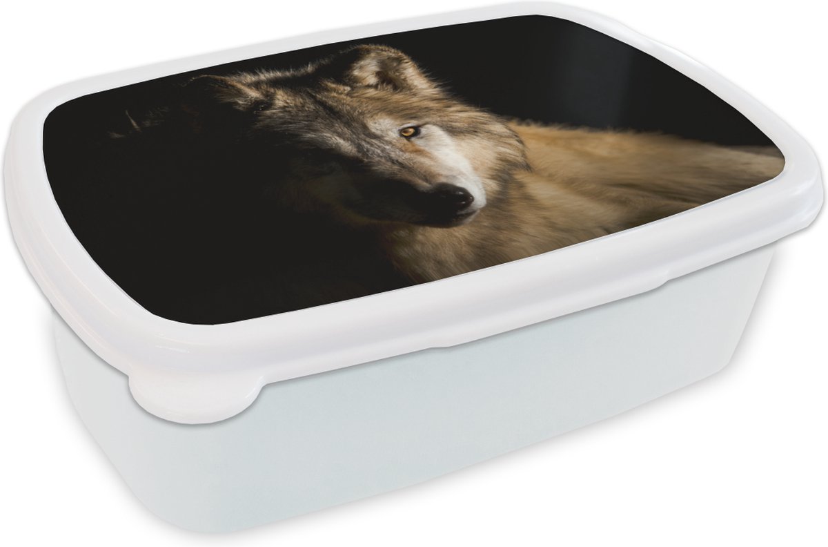 Broodtrommel Wit - Lunchbox - Brooddoos - Arctische wolf - 18x12x6 cm - Volwassenen