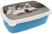 Broodtrommel Blauw - Lunchbox - Brooddoos - Husky puppy slaapt - 18x12x6 cm - Kinderen - Jongen