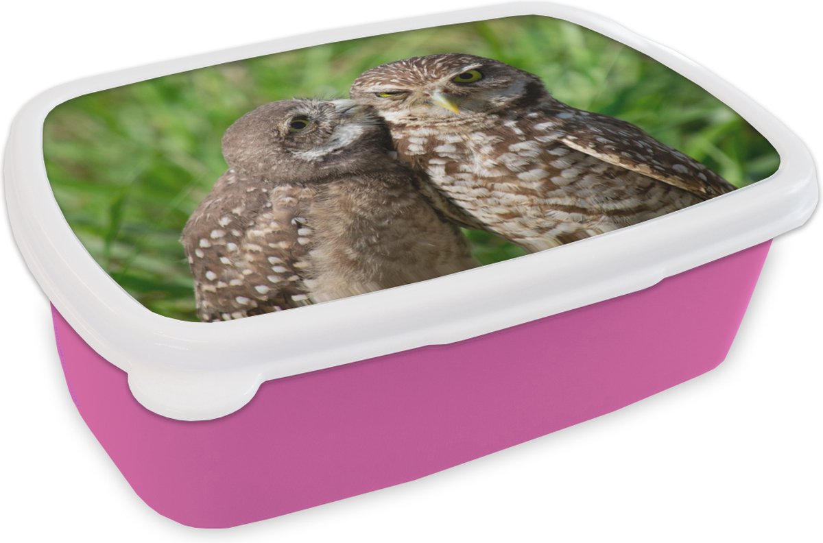 Broodtrommel Roze - Lunchbox - Brooddoos - Uilen - Vogels - Gras - 18x12x6 cm - Kinderen - Meisje