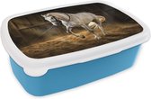 Broodtrommel Blauw - Lunchbox - Brooddoos - Paard - Licht - Hooi - Stal - 18x12x6 cm - Kinderen - Jongen