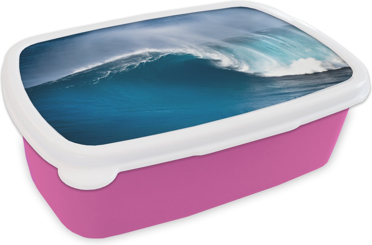 Broodtrommel Roze - Lunchbox - Brooddoos - Zee - Golf - Hawaii - 18x12x6 cm - Kinderen - Meisje
