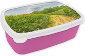 Broodtrommel Roze - Lunchbox - Brooddoos - Spelt - Graan - Lucht - 18x12x6 cm - Kinderen - Meisje
