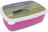 Broodtrommel Roze - Lunchbox - Brooddoos - Paarden - Veulen - Bruin - 18x12x6 cm - Kinderen - Meisje