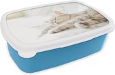 Broodtrommel Blauw - Lunchbox - Brooddoos - Kat slaapt op de bank - 18x12x6 cm - Kinderen - Jongen