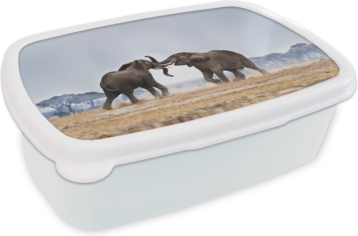 Broodtrommel Wit - Lunchbox - Brooddoos - Spelende olifanten in Kenia - 18x12x6 cm - Volwassenen