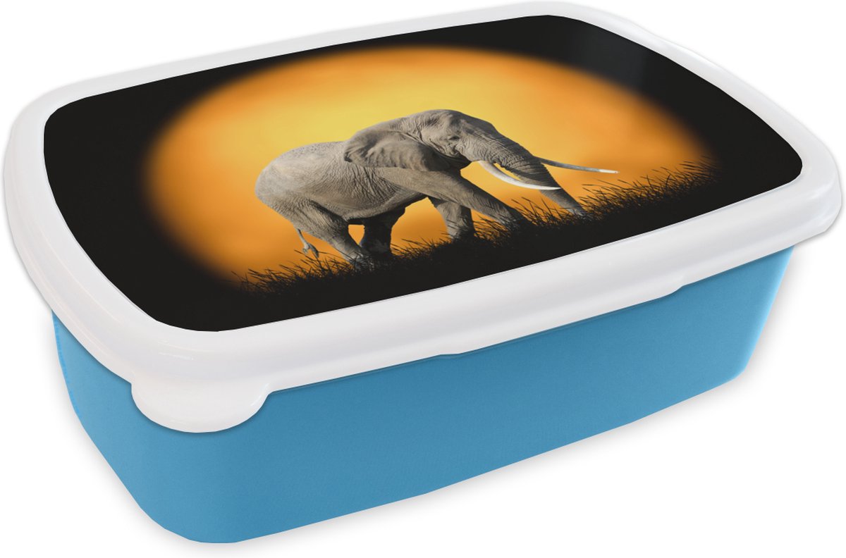 Broodtrommel Blauw - Lunchbox - Brooddoos - Olifant - Zon - Gras - 18x12x6 cm - Kinderen - Jongen