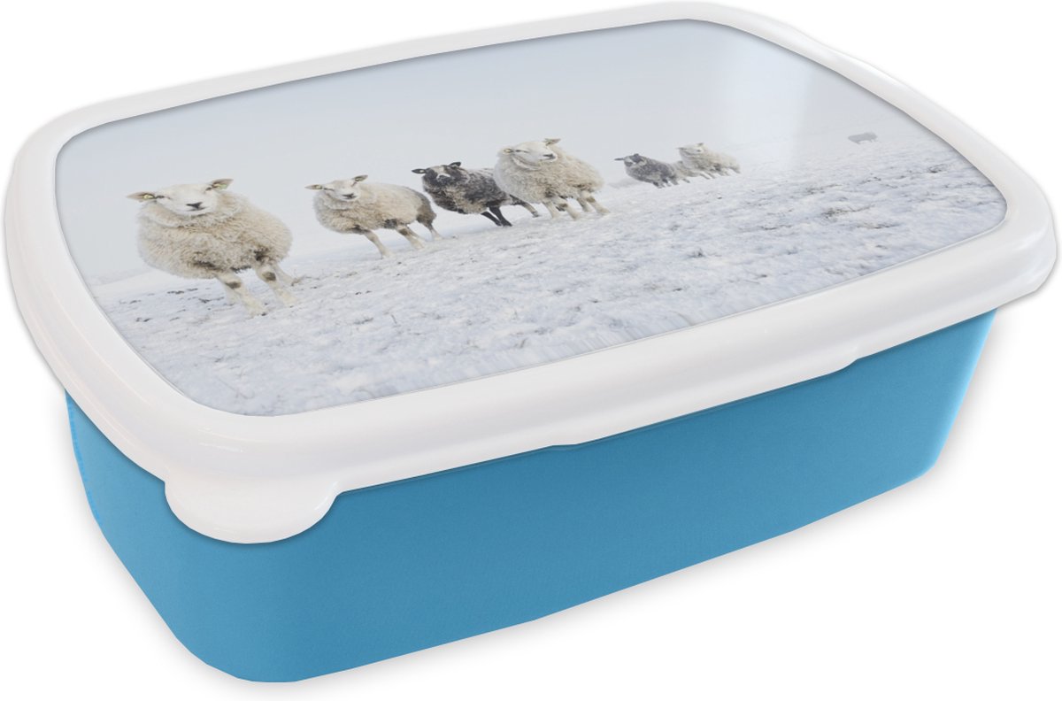 Broodtrommel Blauw - Lunchbox - Brooddoos - Schaap - Wol - Sneeuw - 18x12x6 cm - Kinderen - Jongen