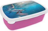 Broodtrommel Roze - Lunchbox - Brooddoos - Dolfijn - Zon - Water - 18x12x6 cm - Kinderen - Meisje
