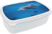 Broodtrommel Wit - Lunchbox - Brooddoos - Dolfijn - Zee - Egypte - 18x12x6 cm - Volwassenen