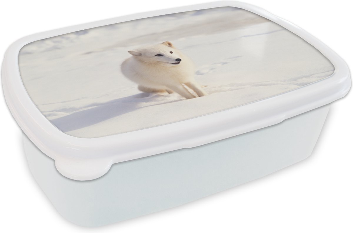 Broodtrommel Wit - Lunchbox - Brooddoos - Vos - Sneeuw - Wit - 18x12x6 cm - Volwassenen