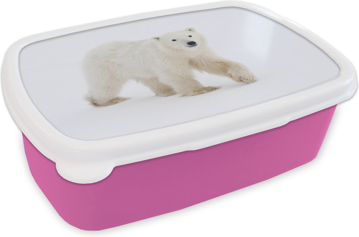 Broodtrommel Roze - Lunchbox - Brooddoos - IJsbeer - Sneeuw - Wit - 18x12x6 cm - Kinderen - Meisje