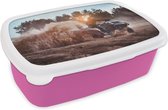 Broodtrommel Roze - Lunchbox - Brooddoos - Quad - Tiener - Natuur - 18x12x6 cm - Kinderen - Meisje