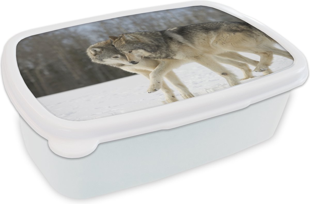 Broodtrommel Wit - Lunchbox - Brooddoos - Wolf - Sneeuw - Vacht - 18x12x6 cm - Volwassenen
