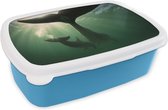 Broodtrommel Blauw - Lunchbox - Brooddoos - Dolfijn - Water - Blauw - 18x12x6 cm - Kinderen - Jongen
