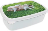 Broodtrommel Wit - Lunchbox Kittens - Kat - Mand - Meisjes - Kinderen - Jongens - Kids - Brooddoos 18x12x6 cm - Brood lunch box - Broodtrommels voor kinderen en volwassenen
