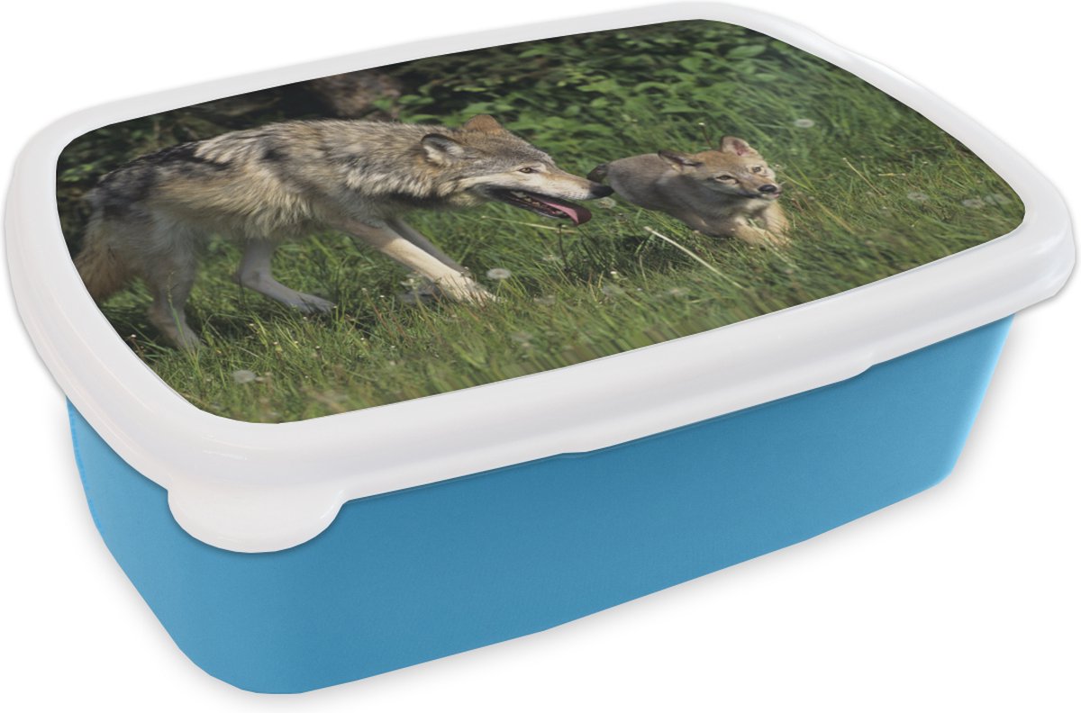 Broodtrommel Blauw - Lunchbox - Brooddoos - Wolf - Baby - Gras - 18x12x6 cm - Kinderen - Jongen