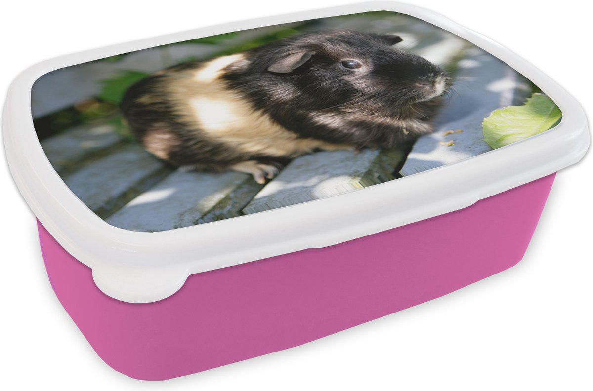 Broodtrommel Roze - Lunchbox - Brooddoos - Cavia's in de tuin - 18x12x6 cm - Kinderen - Meisje