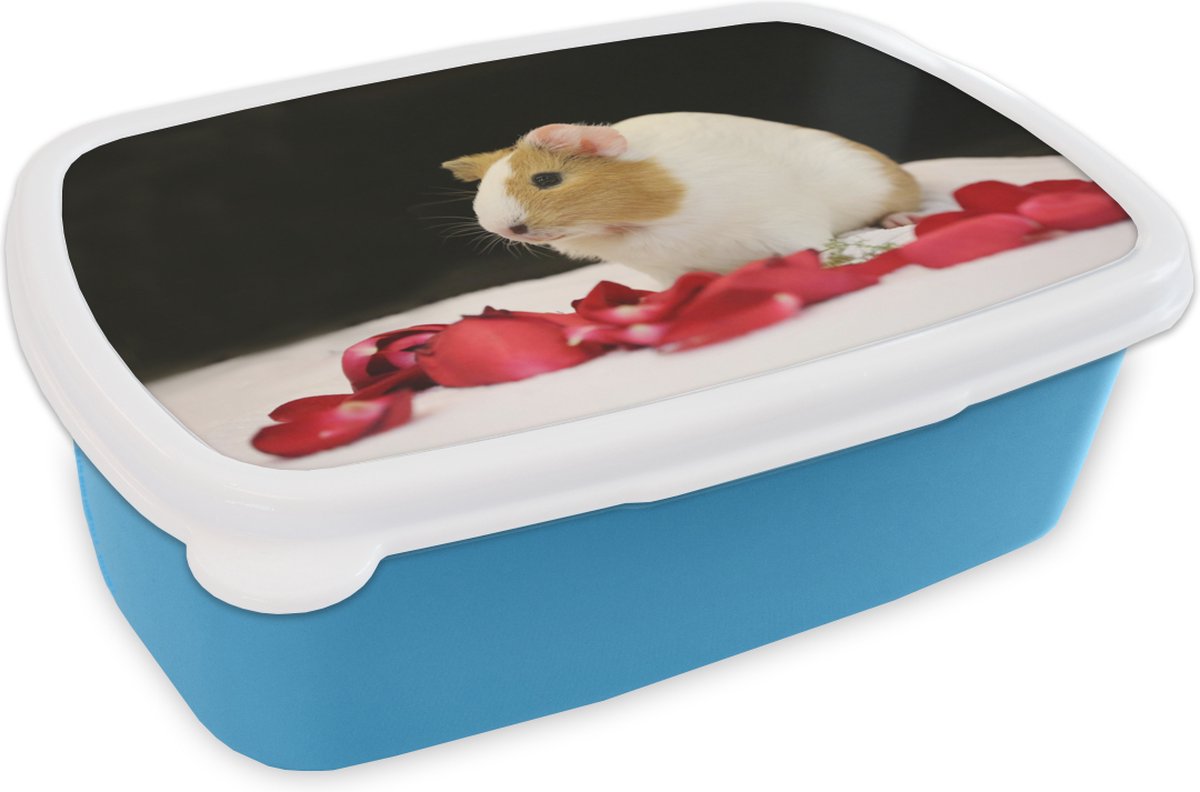 Broodtrommel Blauw - Lunchbox - Brooddoos - Lieve cavia - 18x12x6 cm - Kinderen - Jongen