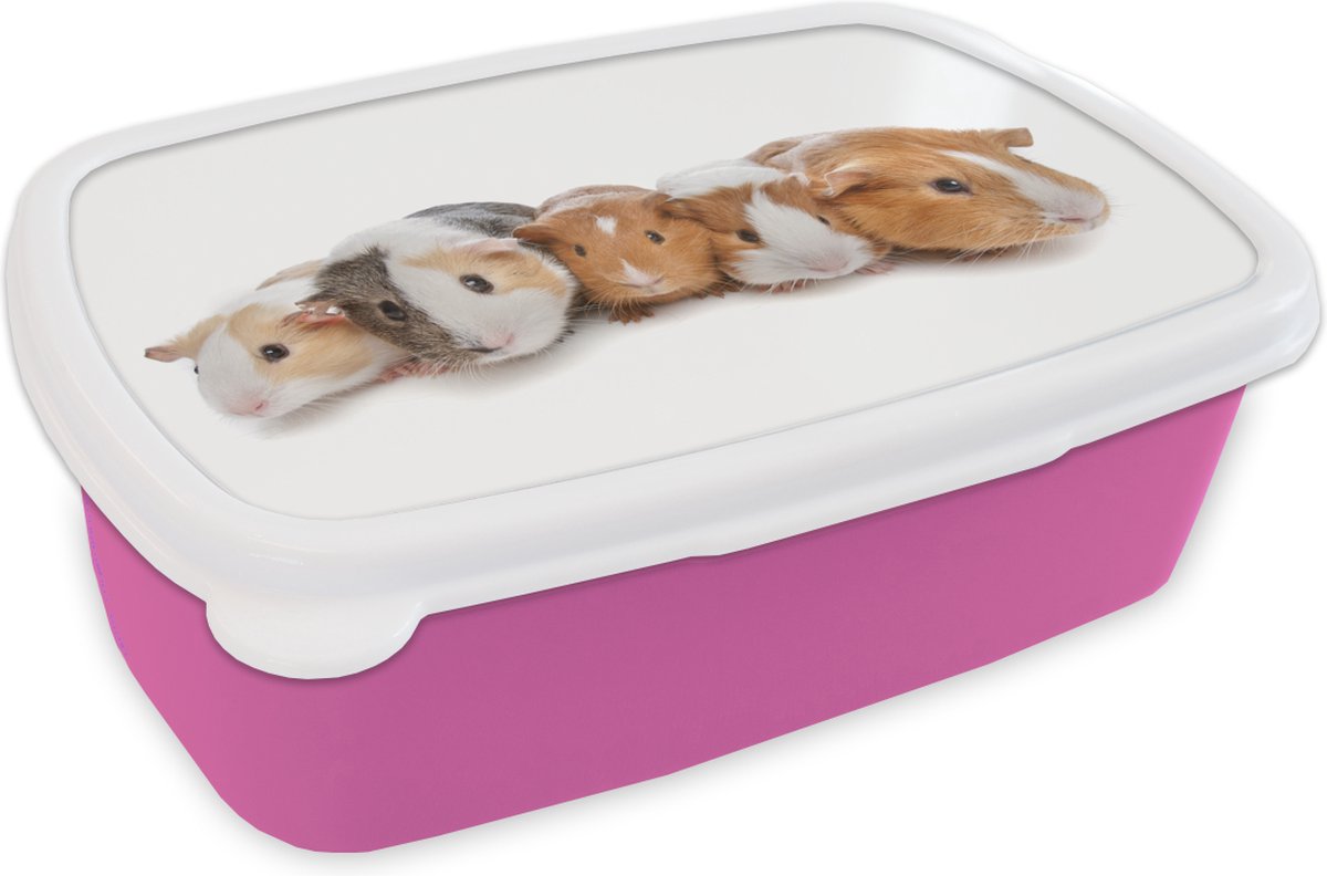 Broodtrommel Roze - Lunchbox - Brooddoos - Vijf cavia's - 18x12x6 cm - Kinderen - Meisje