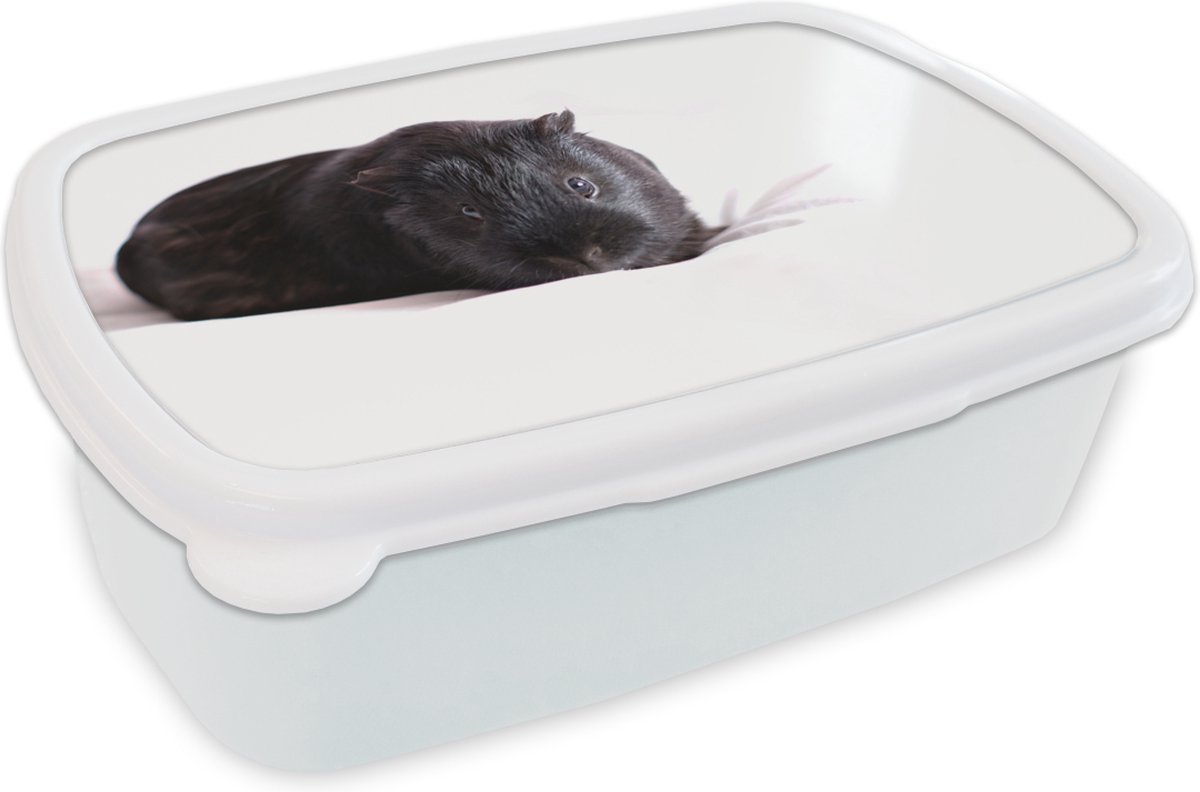 Broodtrommel Wit - Lunchbox - Brooddoos - Zwarte cavia - 18x12x6 cm - Volwassenen