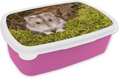 Broodtrommel Roze - Lunchbox - Brooddoos - Grijze dwerghamster - 18x12x6 cm - Kinderen - Meisje