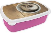 Broodtrommel Roze - Lunchbox - Brooddoos - Een Ragdoll kat in een plastic emmer - 18x12x6 cm - Kinderen - Meisje