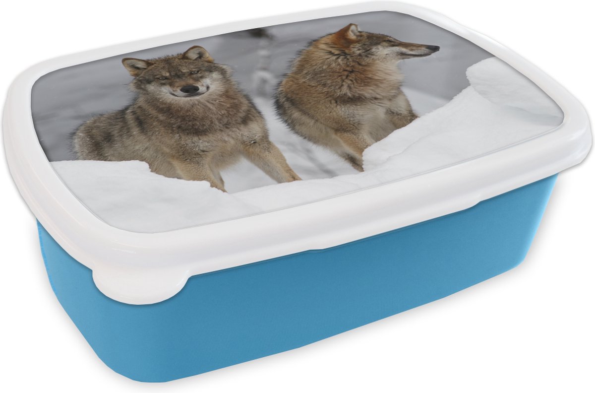 Broodtrommel Blauw - Lunchbox - Brooddoos - Wolf - Sneeuw - Dieren - 18x12x6 cm - Kinderen - Jongen