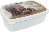 Lunch box Wit - Lunch box - Boîte à pain - Animaux - Hippopotames - Bébé - 18x12x6 cm - Adultes