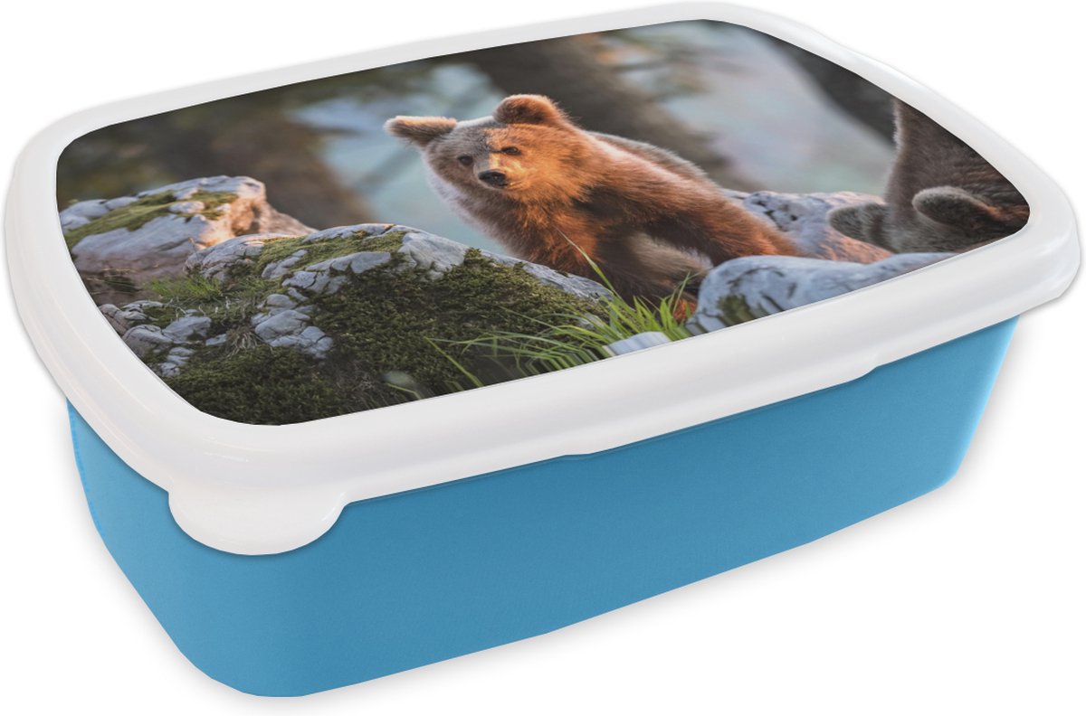 Broodtrommel Blauw - Lunchbox - Brooddoos - Beer - Bruin - Dier - 18x12x6 cm - Kinderen - Jongen