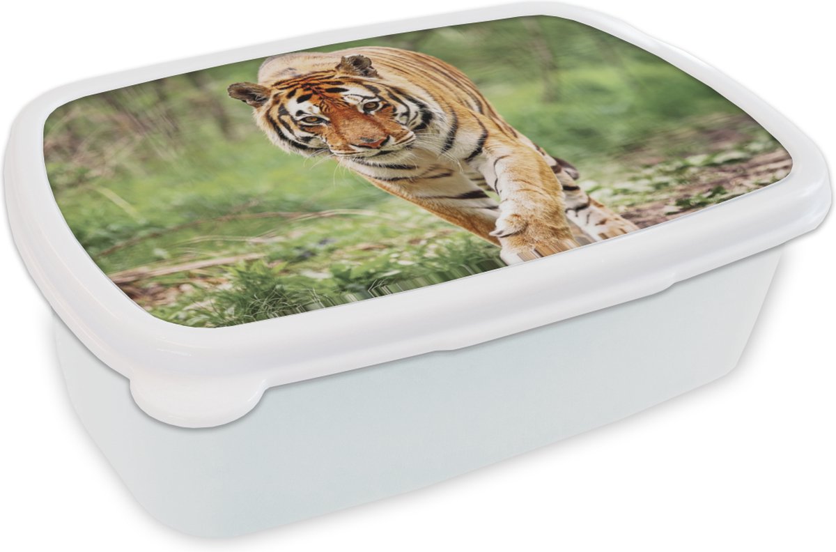 Broodtrommel Wit - Lunchbox - Brooddoos - Tijger - Bos - Lopen - 18x12x6 cm - Volwassenen