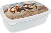 Broodtrommel Wit - Lunchbox Paarden - Dieren - Gras - Vacht - Brooddoos 18x12x6 cm - Brood lunch box - Broodtrommels voor kinderen en volwassenen