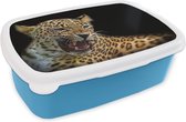 Broodtrommel Blauw - Lunchbox - Brooddoos - Luipaard - Dieren - Zwart - 18x12x6 cm - Kinderen - Jongen