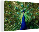 Tableau paon coloré symétrique 180x120 cm - Tirage photo sur toile (Décoration murale salon / chambre) XXL / Groot format!