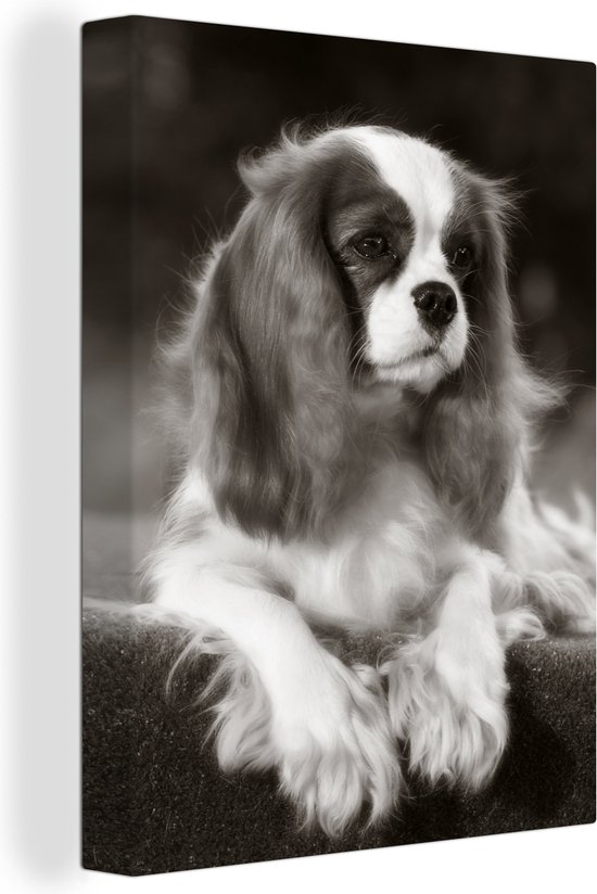 Zwart wit foto van een Cavalier King Charles-spaniël Canvas 30x40 cm - Foto print op Canvas schilderij (Wanddecoratie woonkamer / slaapkamer) / Huisdieren Canvas Schilderijen