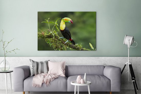 Un toucan sur une branche d'arbre moussu Toile 120x80 cm - Tirage photo sur toile (Décoration murale salon / chambre)