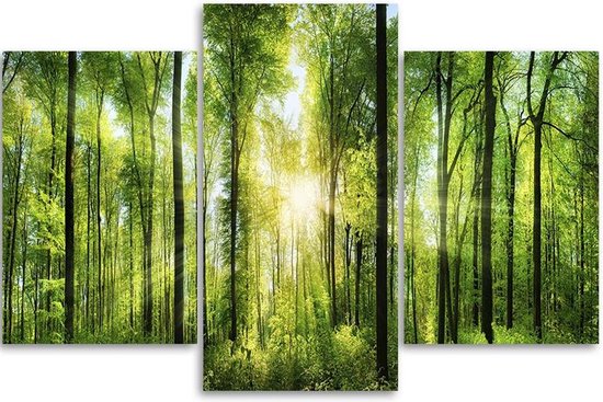 Trend24 - Canvas Schilderij - Zonnestralen In Het Bos - Drieluik - Landschappen - 90x60x2 cm - Groen