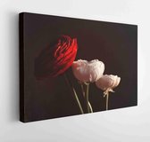 Canvas schilderij -  Productnummer   2067627 - 50*40 Horizontal