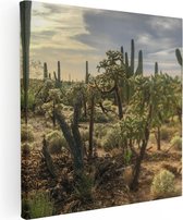 Artaza Canvas Schilderij Cactus Planten in het Wild - 70x70 - Foto Op Canvas - Canvas Print