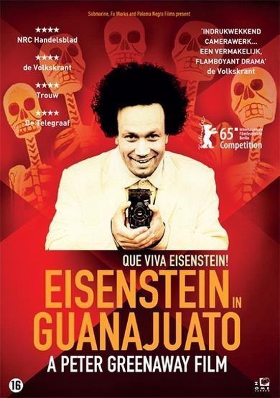 Eisenstein In guanajuato (DVD)