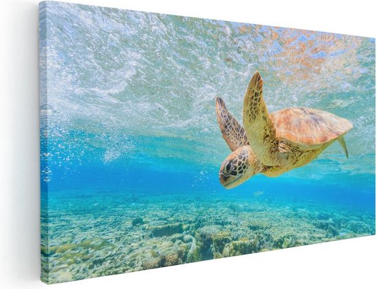 Artaza Canvas Schilderij Schildpad Zwemt in de Zee bij het Rif - 60x30 - Foto Op Canvas - Canvas Print