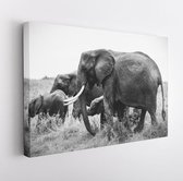 Canvas schilderij -  Productnummer   861321 - 40*30 Horizontal