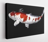 Canvas schilderij - Koi fish is under wave wallpaper  -     676164346 - 50*40 Horizontal