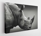 Canvas schilderij - High alert rhino, black and white, monochrome portrait. Fine arts, South Africa. I Seratotery  -     679755226 - 115*75 Horizontal