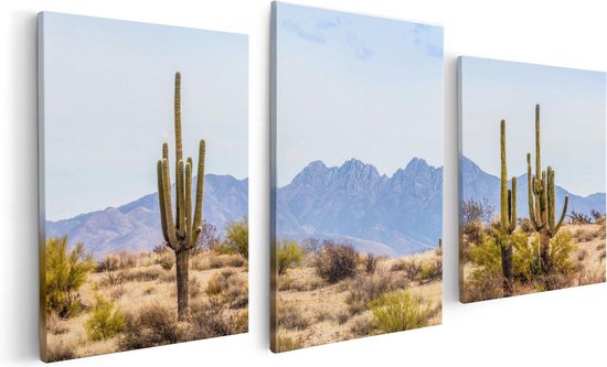 Artaza Canvas Schilderij Drieluik Cactussen in de Woestijn - 120x60 - Foto Op Canvas - Canvas Print